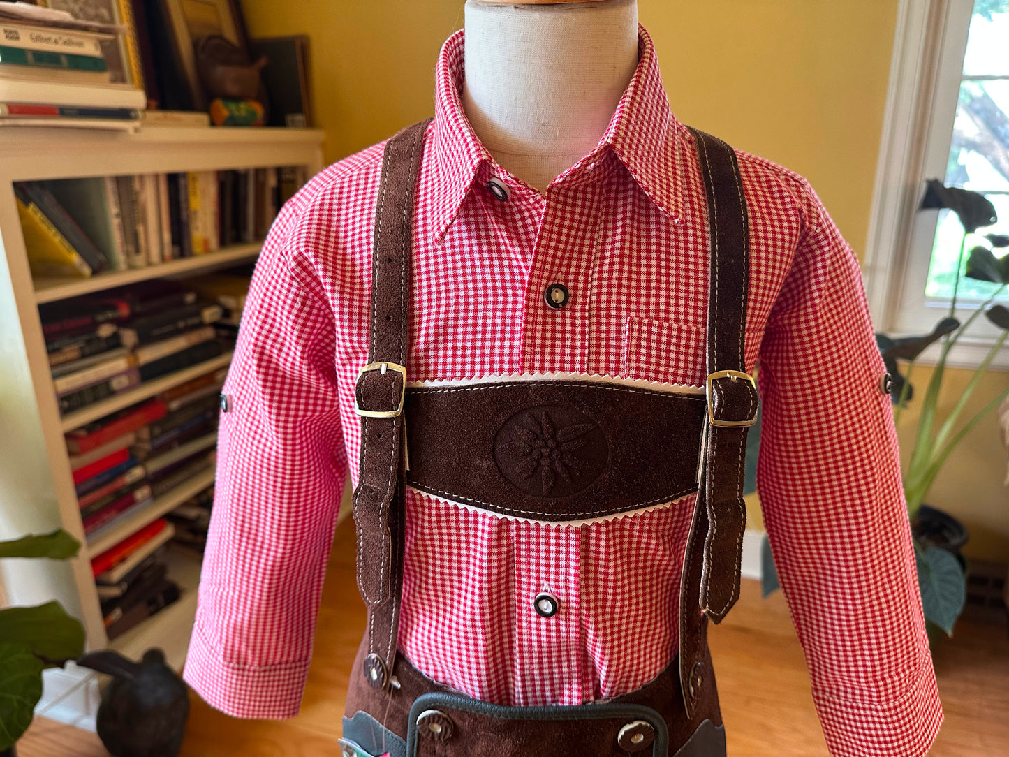 Young Boy's Lederhosen and Red Checked Shirt (18-25 inch waistline)