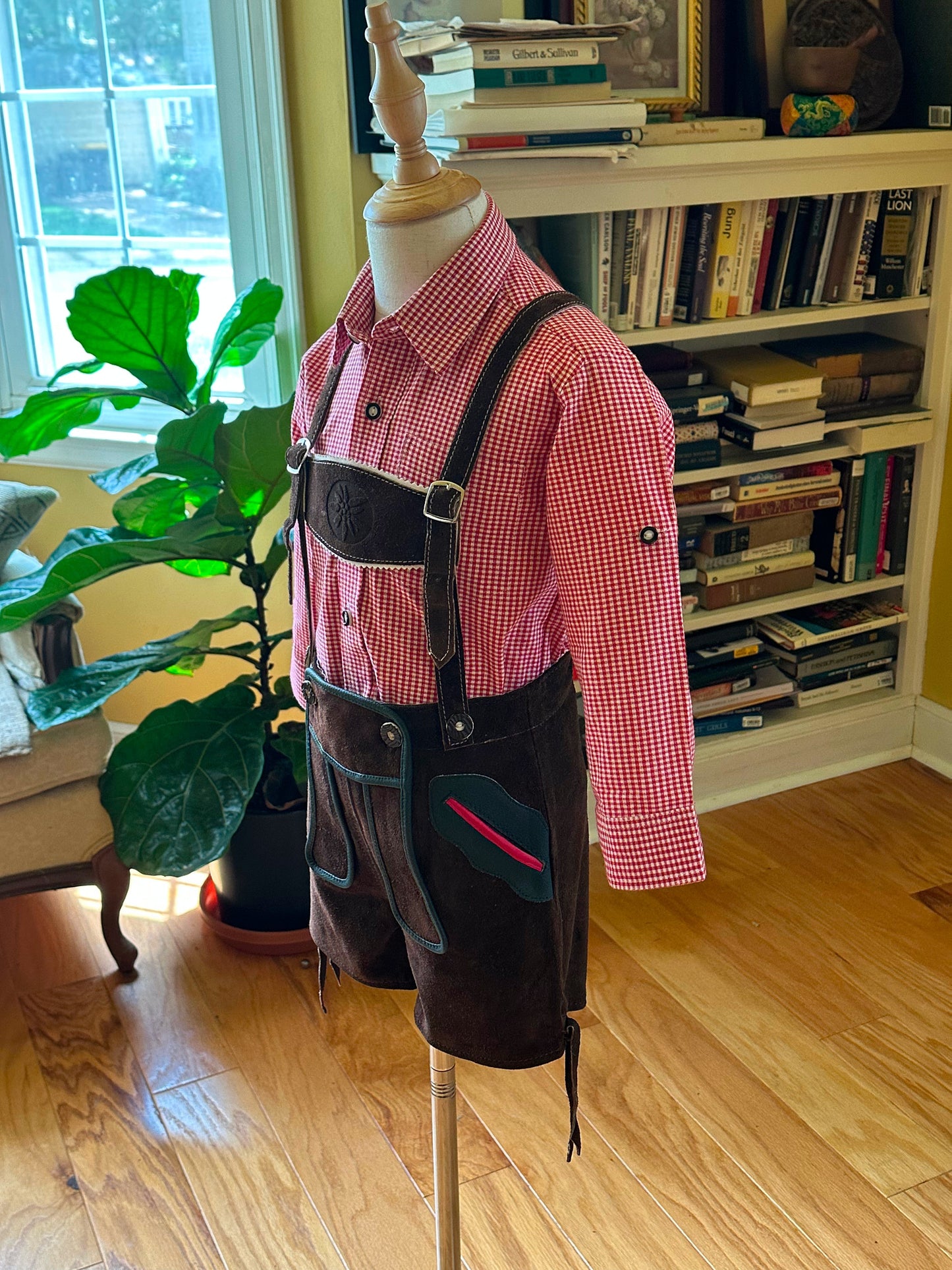 Young Boy's Lederhosen and Red Checked Shirt (18-25 inch waistline)
